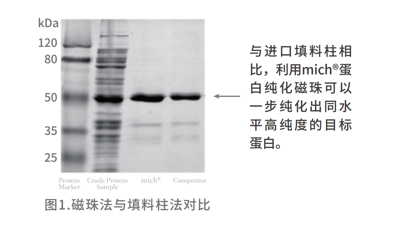 HIS實際操作.png